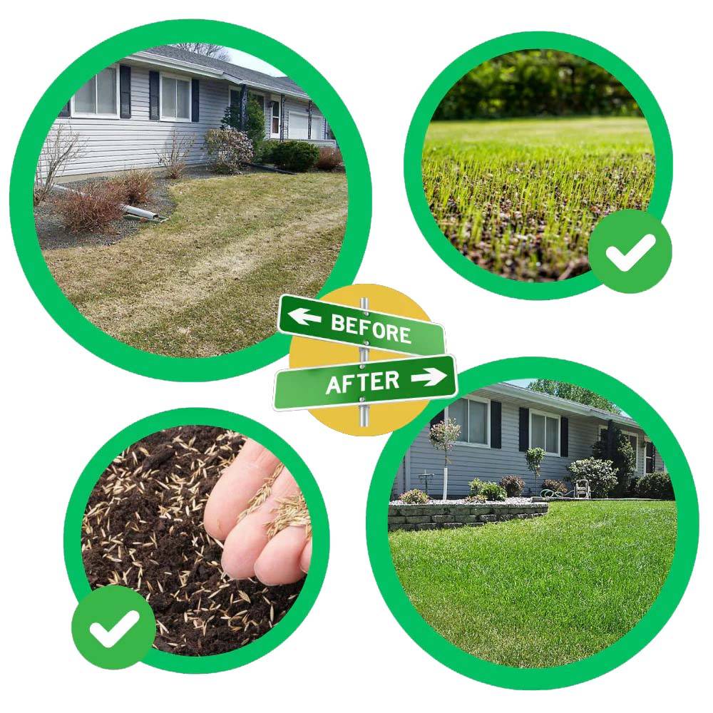 All-season grass seed mat promoting quick fix green lawn growth & erosion control in outdoor spaces.