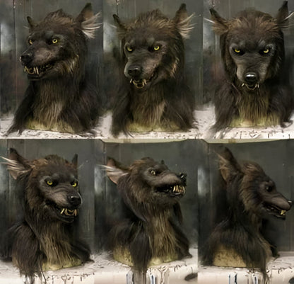 Creepy realistic wolf mask for adults, perfect scary werewolf costume accessory for Halloween & horror-themed events.
