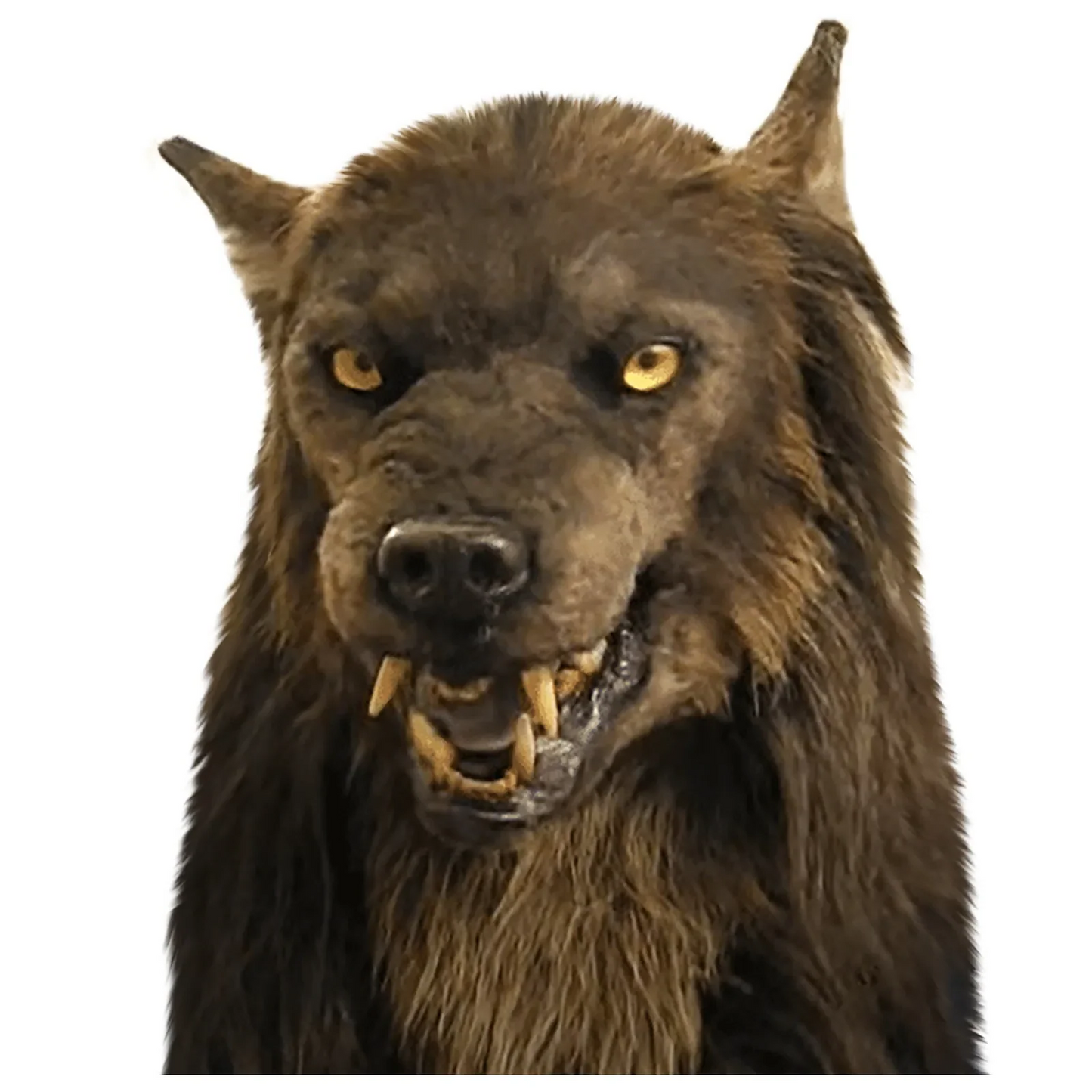 Full-face adult wolf mask, realistic silicone design for comfortable wear at Halloween, cosplay, or masquerade.