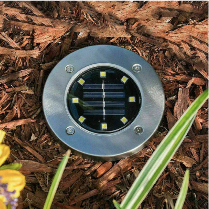 Energy-saving rechargeable solar pathway lights by EcoGlow, providing bright LED illumination for outdoor gardens.