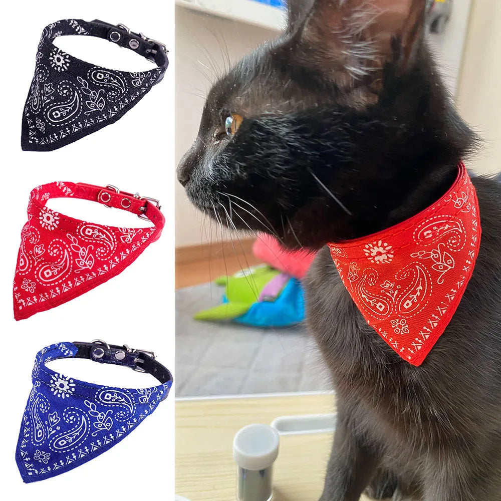 Black cat accessory: adjustable pet collar with bandana design, perfect for stylish cats & small dogs.
