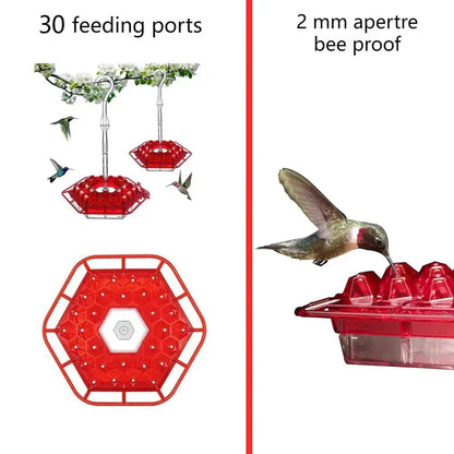 Close-up of ant-proof hanging nectar feeder, ensuring a clean and safe food source for hummingbirds.