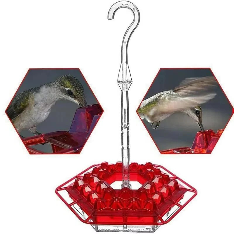 Ant-proof outdoor hanging hummingbird feeder in a garden, enhancing decor & providing bird sustenance.