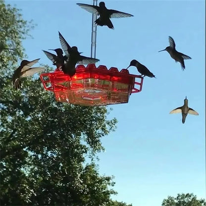 Blue ant-proof nectar feeder, a perfect outdoor hanging accessory for any bird-loving backyard.