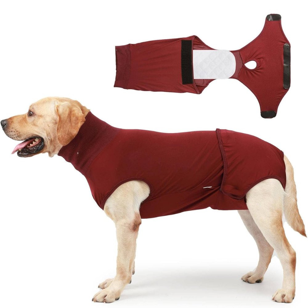 Red dog recovery suit for post-surgery & anxiety relief. Comfy cone alternative for wound protection & pet comfort.