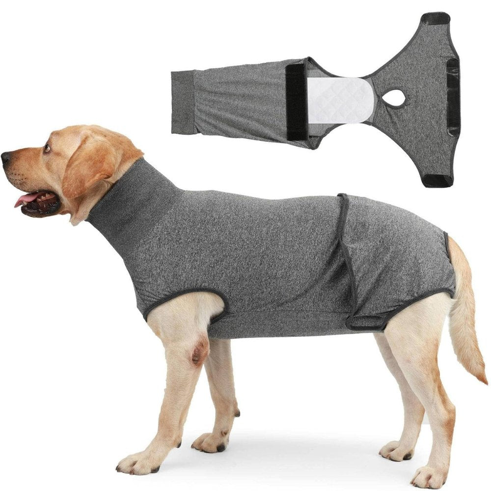 Grey dog recovery suit for pet surgery aftercare. A protective cone alternative that reduces anxiety & protects wounds.