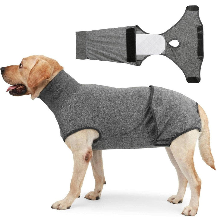 Grey dog recovery suit for pet surgery aftercare. A protective cone alternative that reduces anxiety & protects wounds.