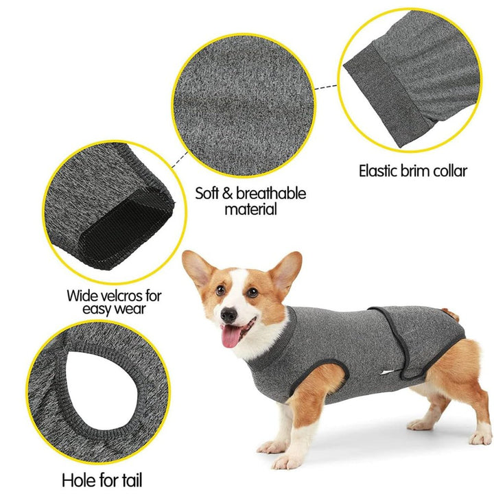 Dog in red recovery suit, comfortable post-surgery. Prevents wound interference & offers anxiety relief & wound protection.