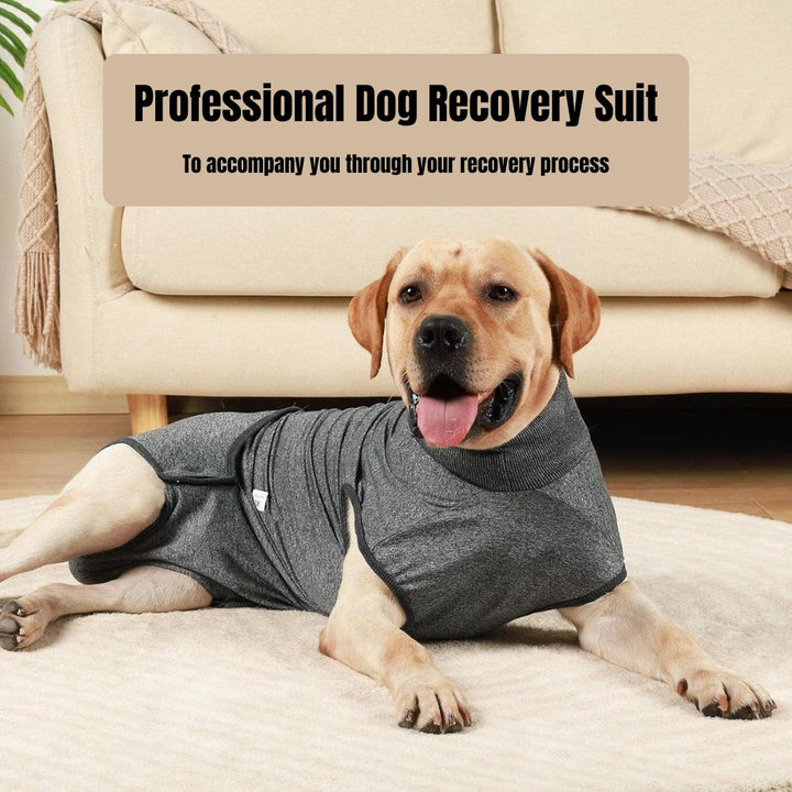 Full-body dog recovery suit in grey, offering wound protection & anxiety relief. Ideal for comfortable post-surgery recovery.