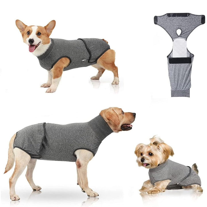 Protective dog suit, red, for surgery recovery & anxiety relief. Ensures pet comfort, wound protection & helps shedding.