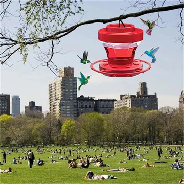 Plastic bee-proof hummingbird feeder, hanging type with ant guard & perch. Perfect for outdoor garden bird feeding.