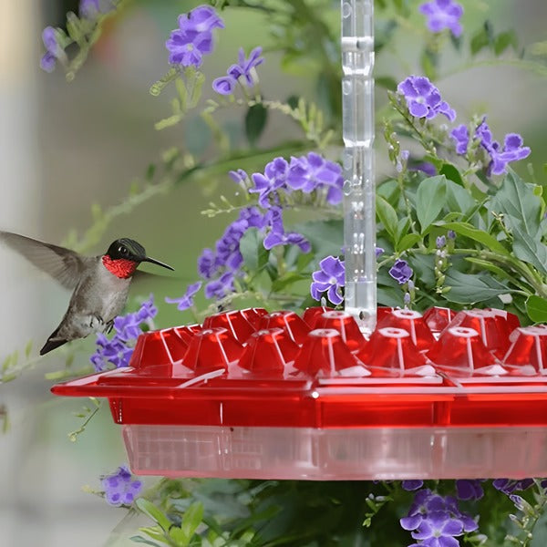 Red outdoor hummingbird feeder with integrated ant moat, perfect for garden wildlife.