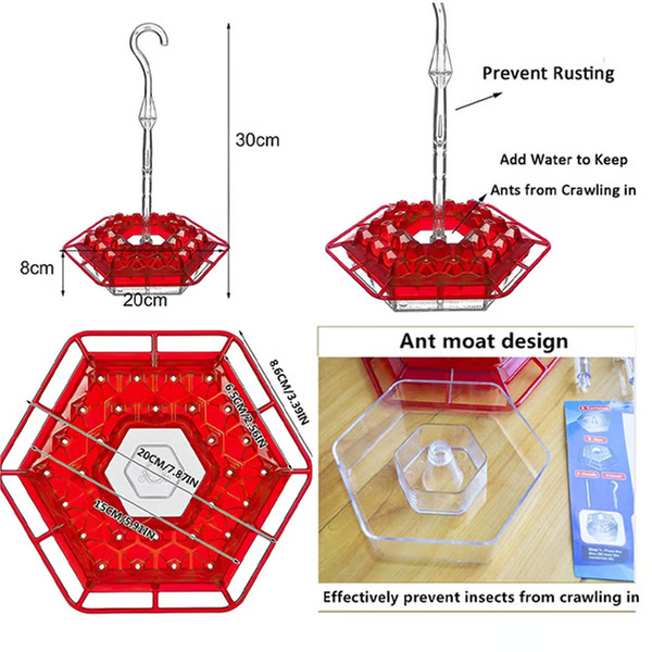 Garden hummingbird feeder with robust ant moat protection, attracting wildlife to your backyard.