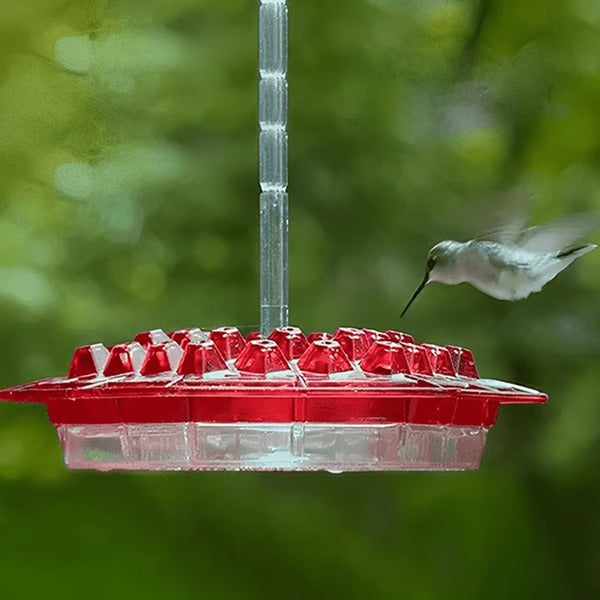 Hanging transparent hummingbird feeder with an ant moat, ideal for outdoor garden decor.