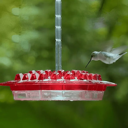 Hanging transparent hummingbird feeder with an ant moat, ideal for outdoor garden decor.