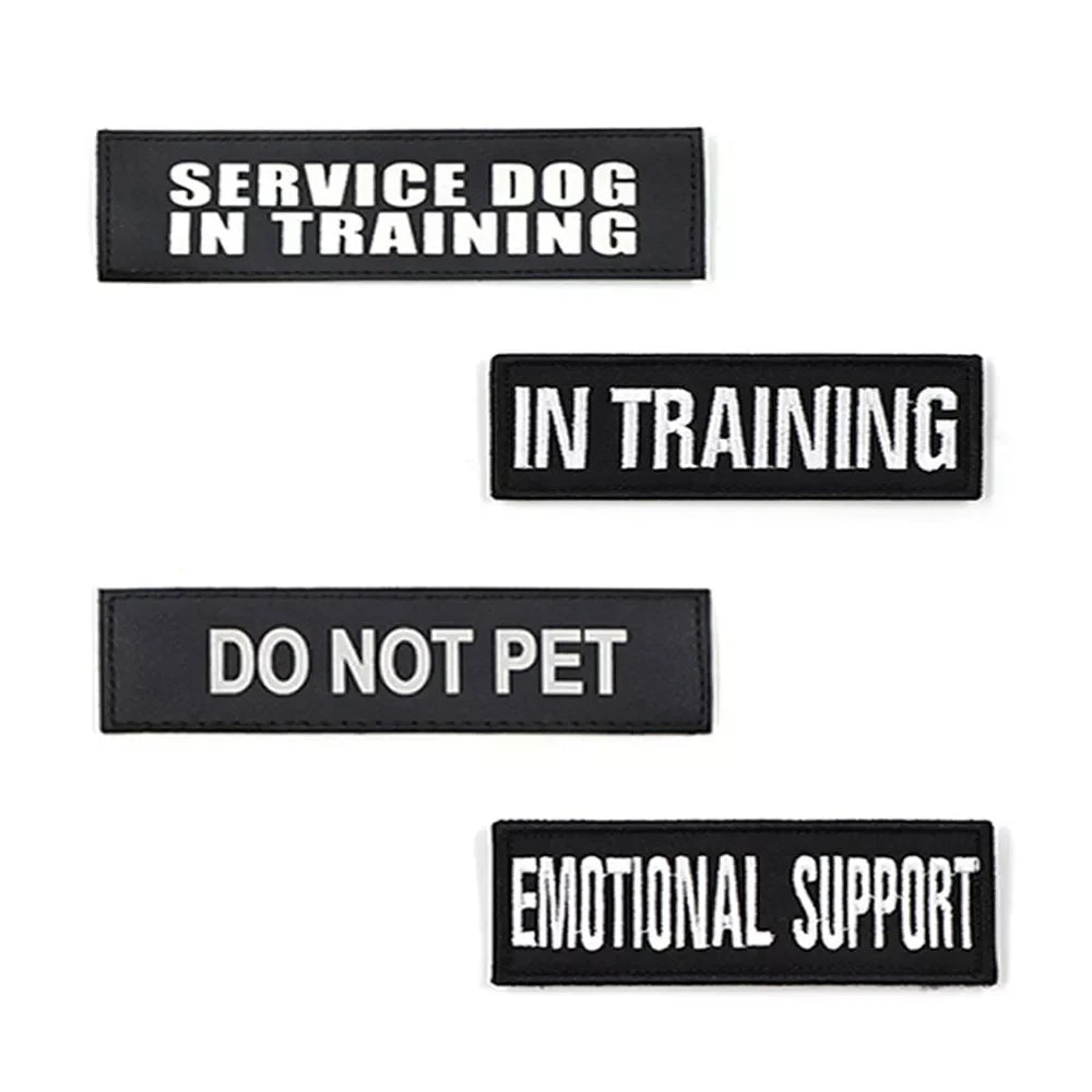 Blue 'EMOTIONAL SUPPORT' dog harness patch, clearly visible for service dog identification