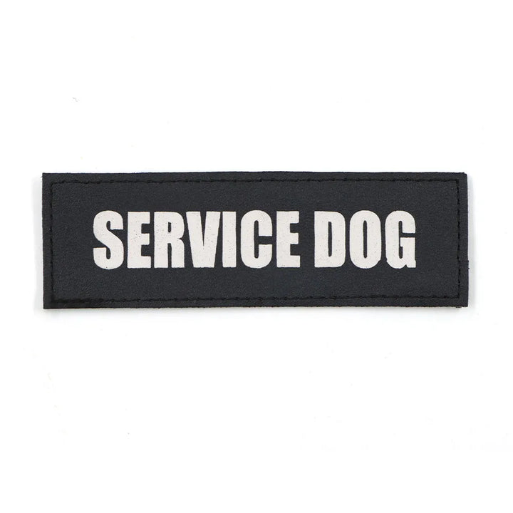 Dog wearing a harness with an attached 'SERVICE DOG' patch, demonstrating real-world use for identification