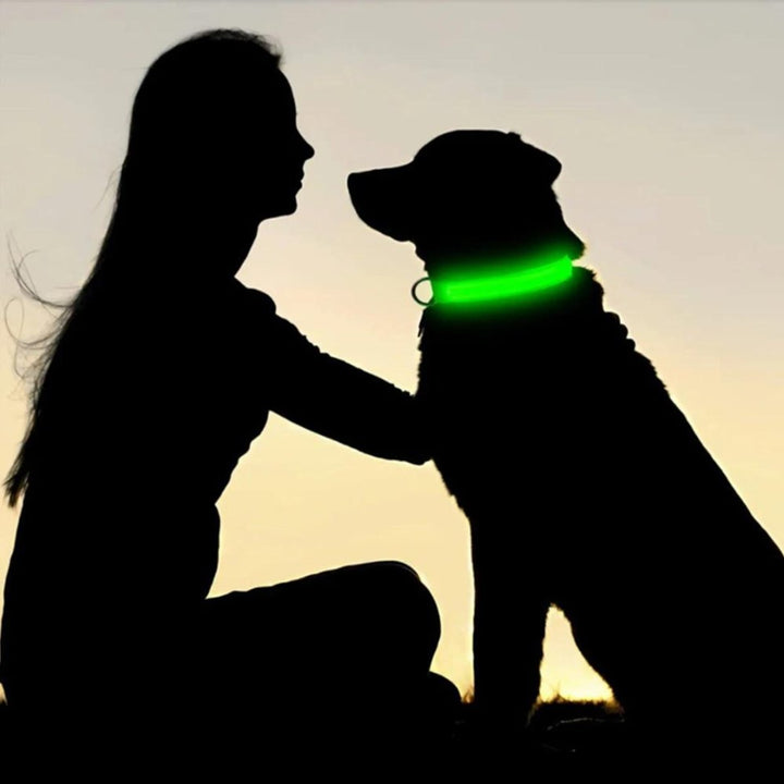 Dog tracking collar with secure AirTag holder. Reflective material ensures pet visibility and safety at night.