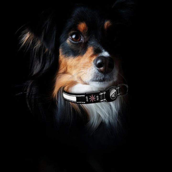 Durable pet safety collar with built-in AirTag holder. Reflective and waterproof for active dogs and tracking.
