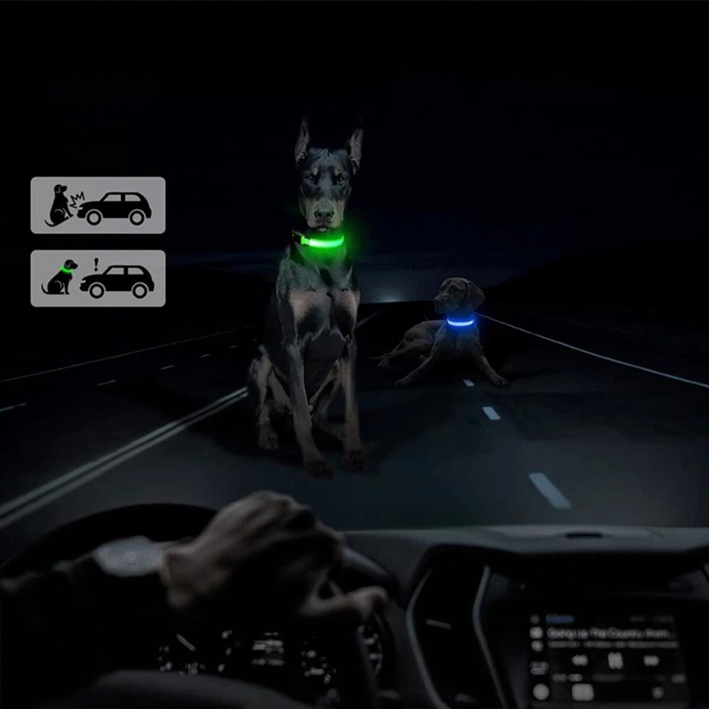 Secure AirTag collar for dogs, reflective for high visibility. Essential pet accessory for tracking & safety.