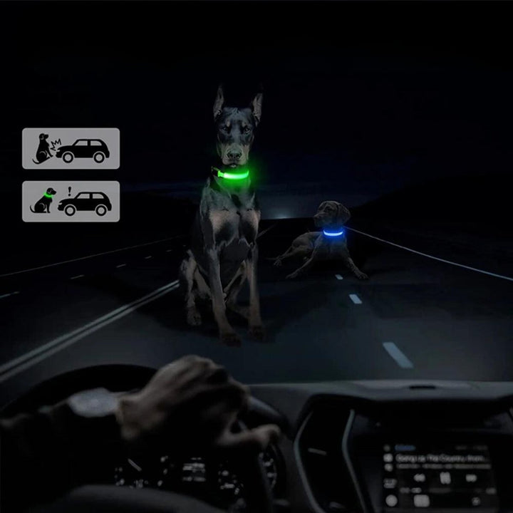 Secure AirTag collar for dogs, reflective for high visibility. Essential pet accessory for tracking & safety.