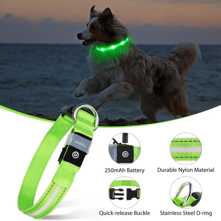 Enhanced pet safety with this reflective AirTag dog collar. Perfect for night walks and reliable dog tracking.