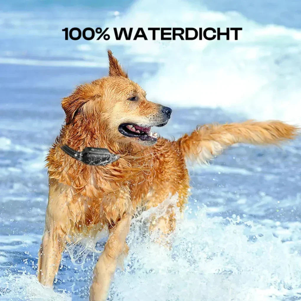 Long-range remote dog training collar for all breeds, ensuring effective control & improved dog behavior.