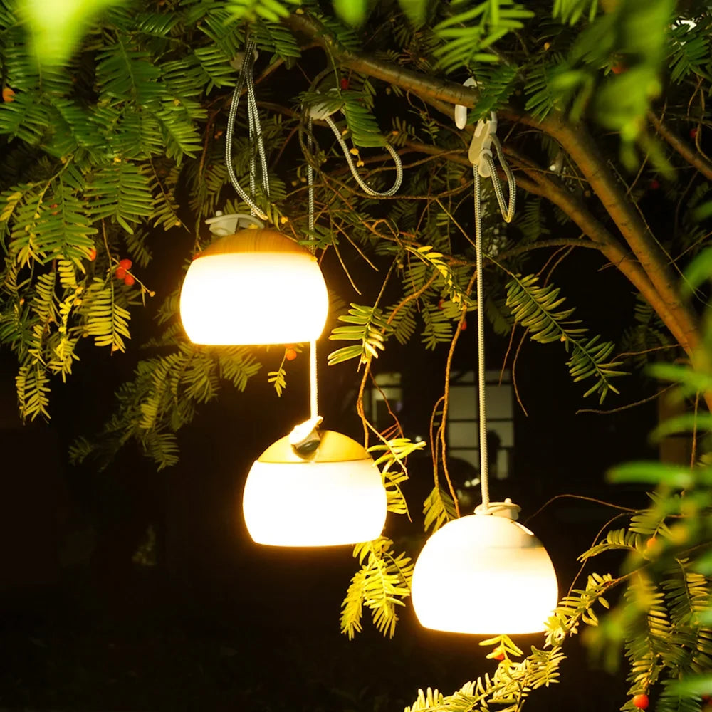 DangTern retro LED camping lantern, USB rechargeable for bright outdoor illumination & emergency use.