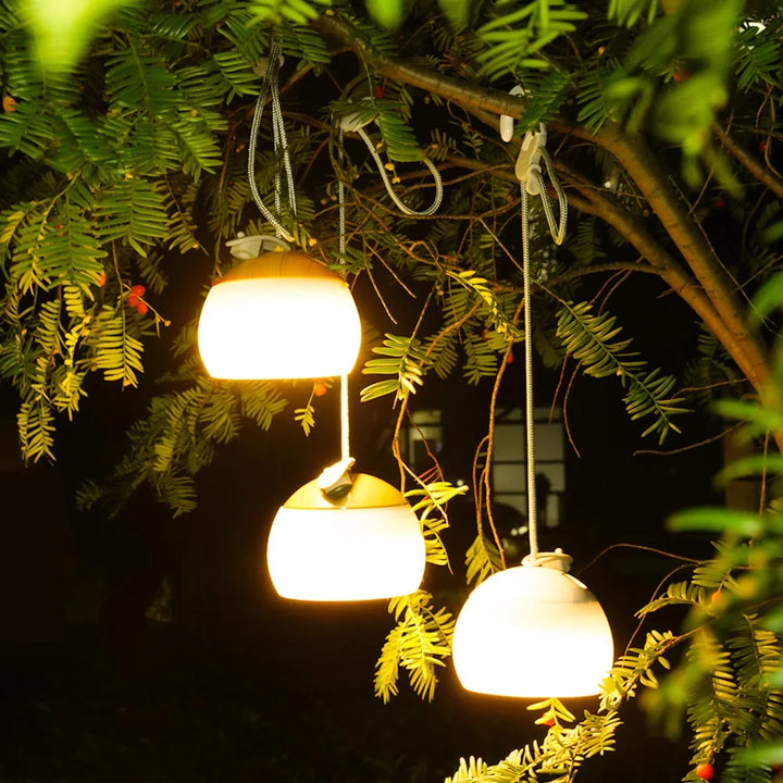 DangTern retro LED camping lantern, USB rechargeable for bright outdoor illumination & emergency use.