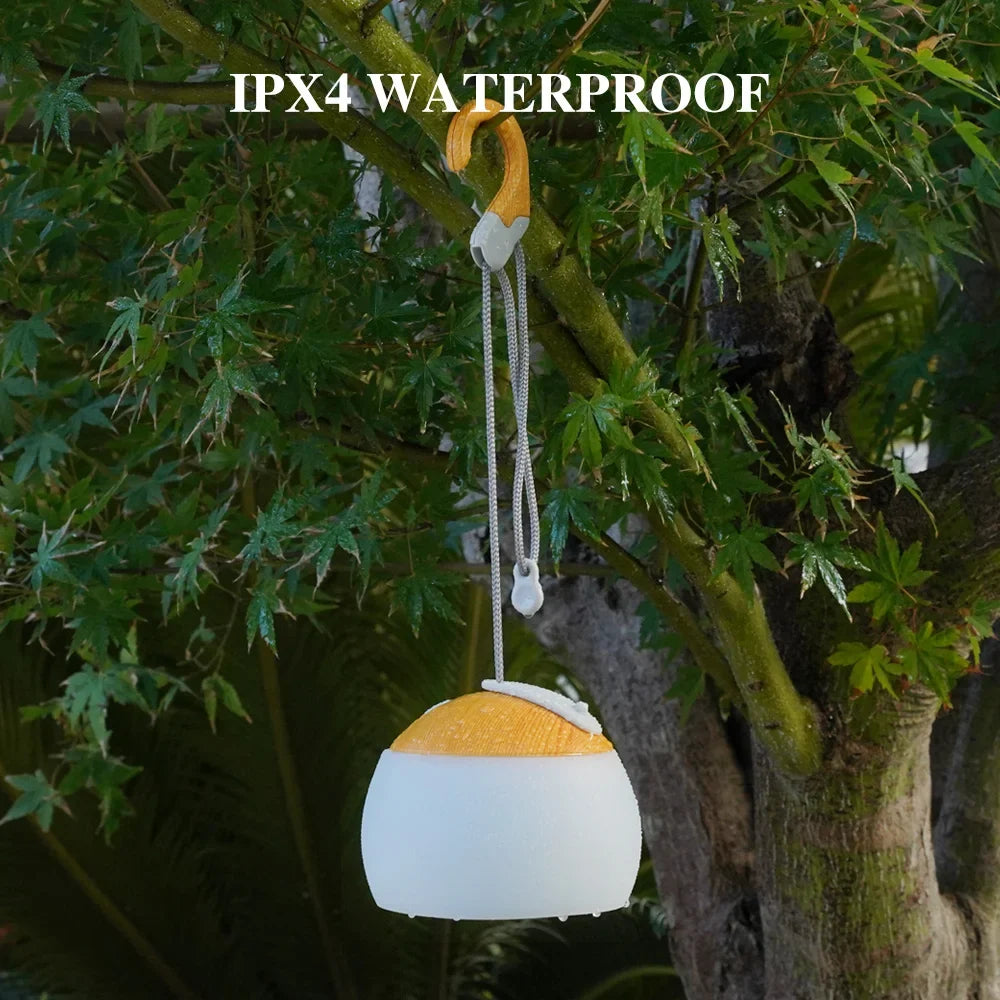 Versatile retro camping lantern, USB rechargeable, perfect for patio ambiance or emergency backup light.