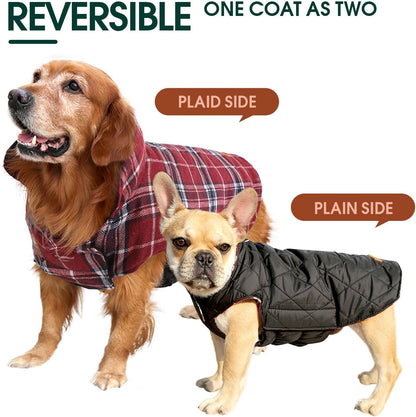 Pet fashion: British style dog winter jacket. Reversible & waterproof for cold weather walks.