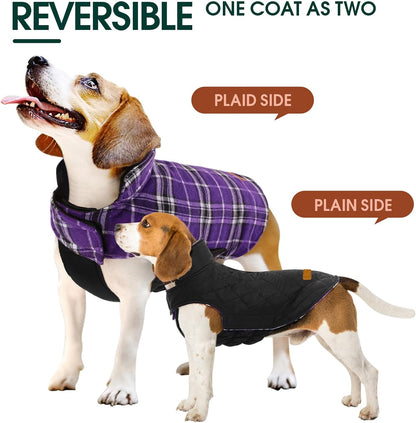 Warm dog apparel: reversible waterproof British style winter coat. Perfect for cold outdoor adventures.