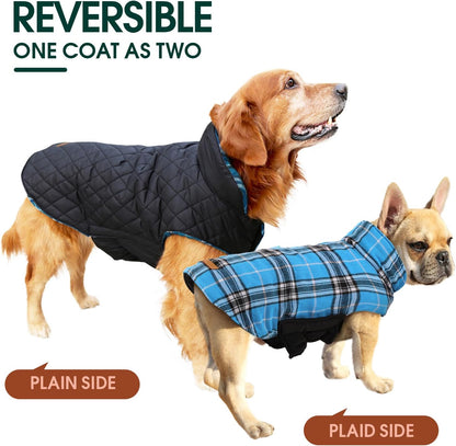 Adventure-ready waterproof dog coat. Reversible British style winter jacket for active pets.