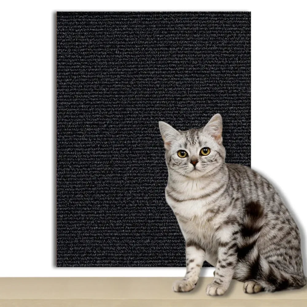 Transparent, self-adhesive pet protection for furniture, preventing cat claw damage.