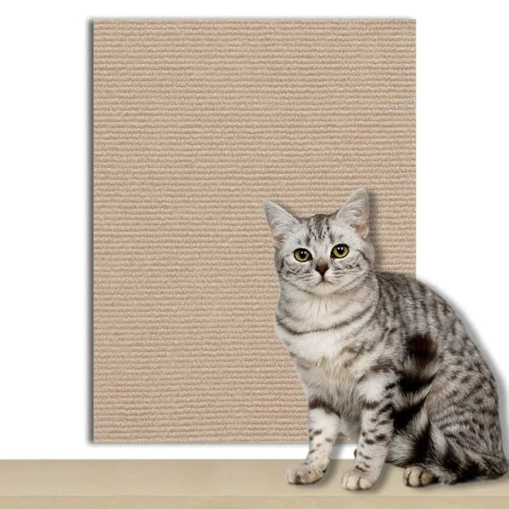 Self-adhesive clear scratch guard for cats, preserves furniture, pet protection.