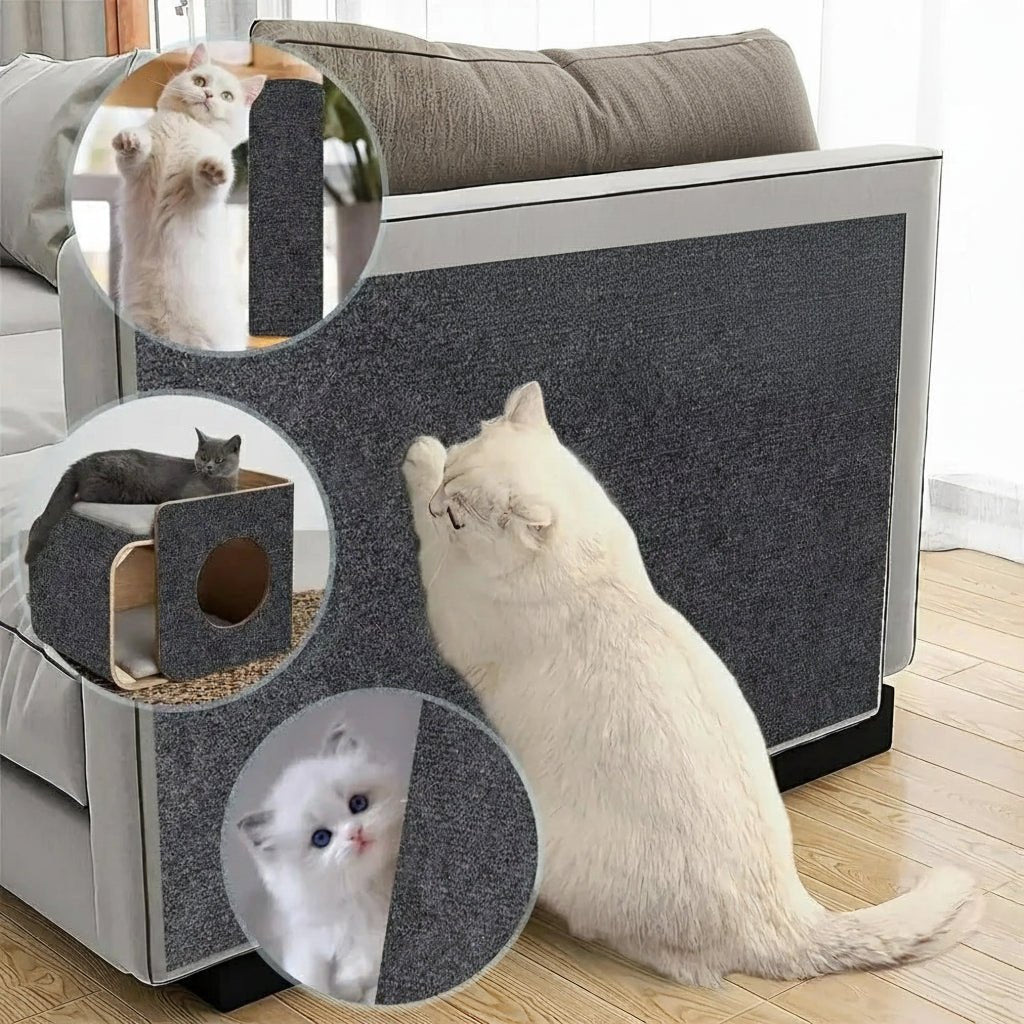 Invisible self-adhesive cat scratch protector, ideal for furniture and wall protection.