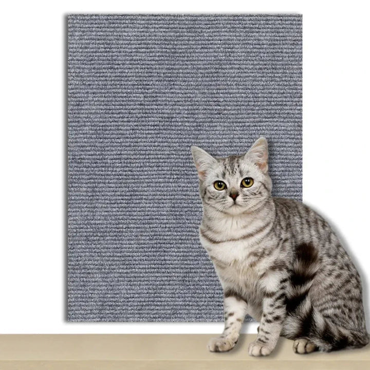 Home protection: self-adhesive clear shield against cat scratches on furniture and walls.