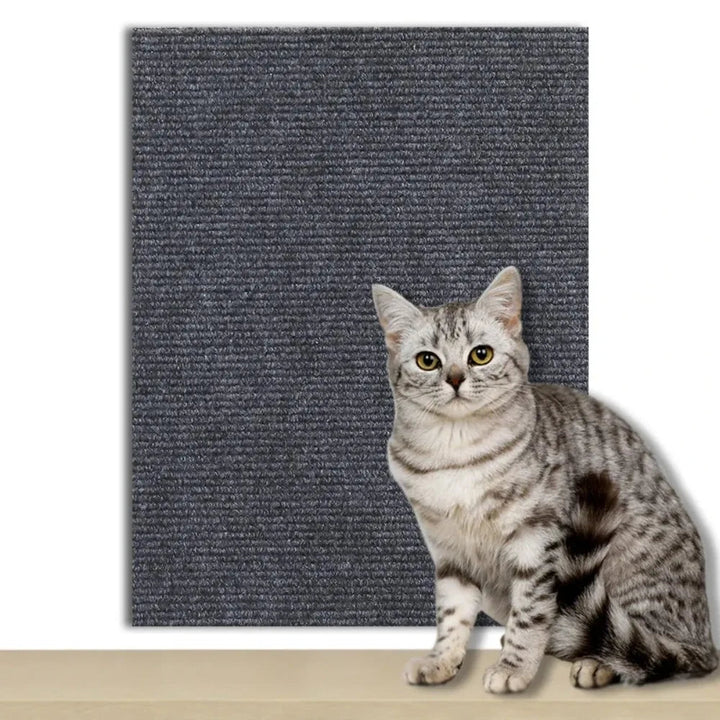 Cat accessory: self-adhesive clear scratch shield for furniture & carpet protection.
