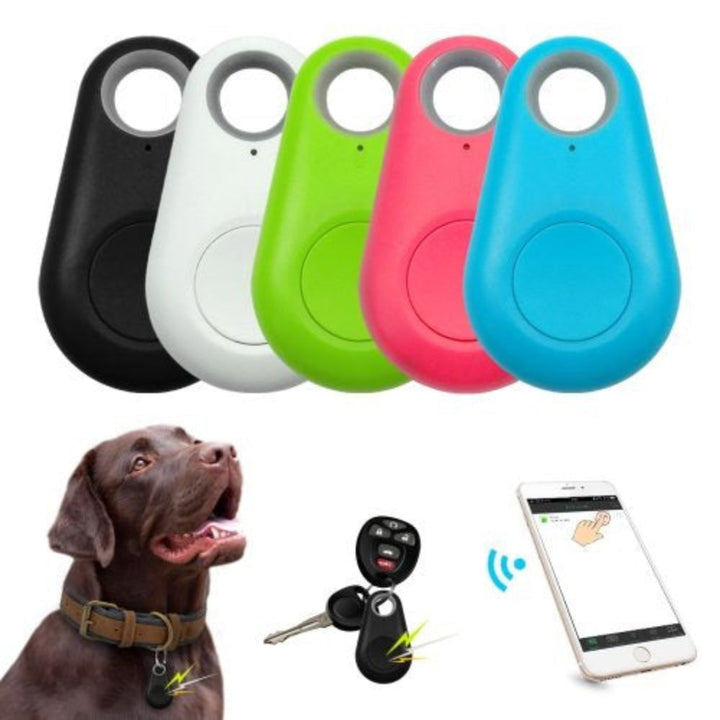 Waterproof pet GPS tracker attached to a dog's collar, providing real-time location and activity monitoring.