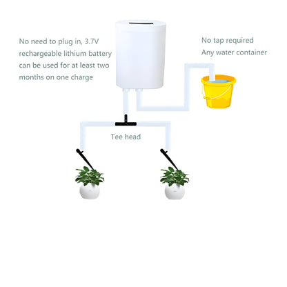 Automated plant watering system for modern home gardening & outdoor plants.