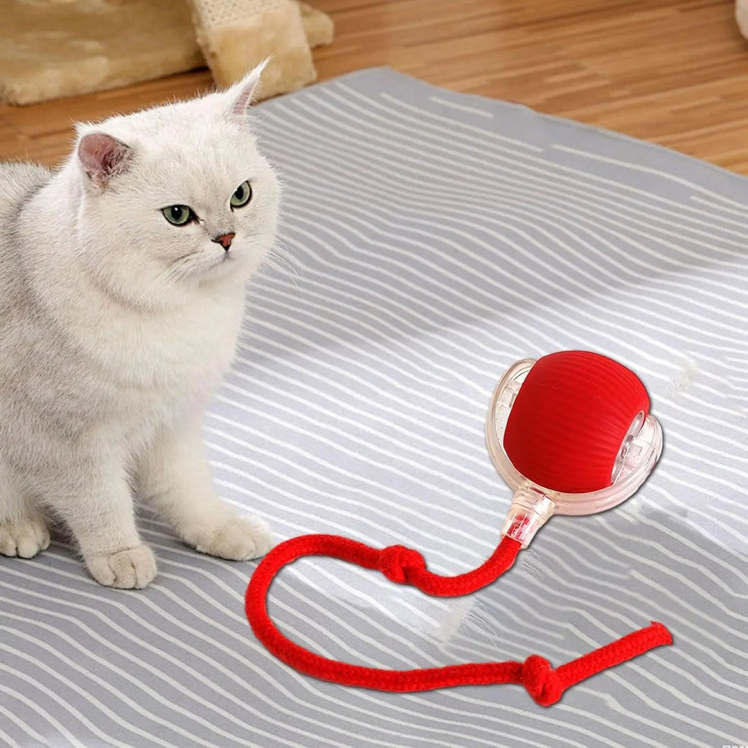 Smart interactive rolling ball toy for dogs & cats, providing stimulating active play and pet entertainment.