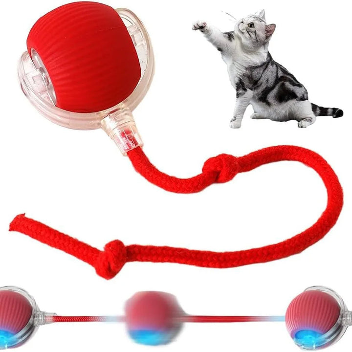 Rechargeable smart interactive ball toy for pets, stimulating active play for both dogs and cats.