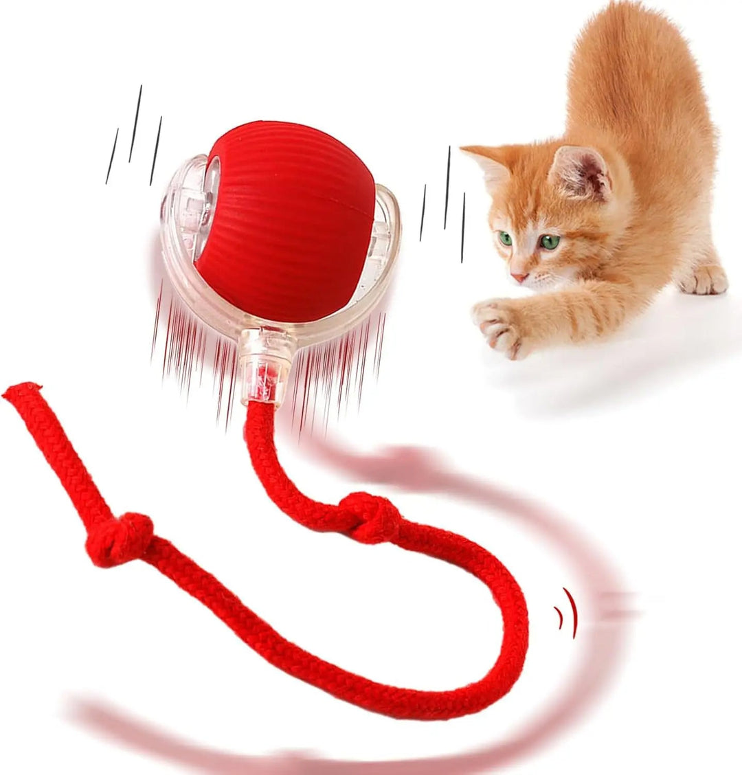 Happy dog & cat playing with a smart interactive rolling ball toy, promoting active pet entertainment.