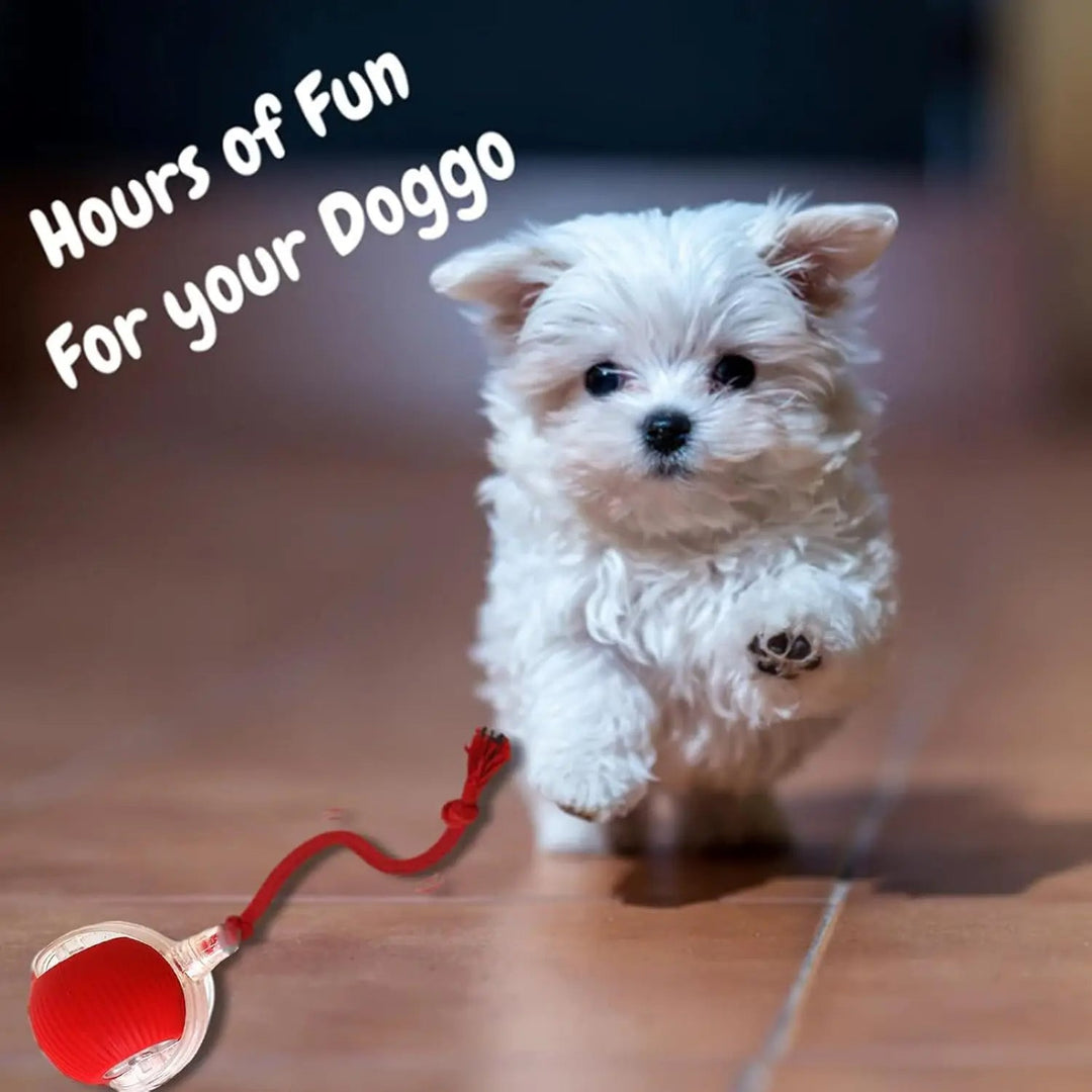 Close-up of the durable smart interactive rolling ball, a rechargeable toy designed for dog & cat active play.