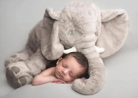 Large elephant cuddle pillow, provides soothing comfort & support for baby's rest.
