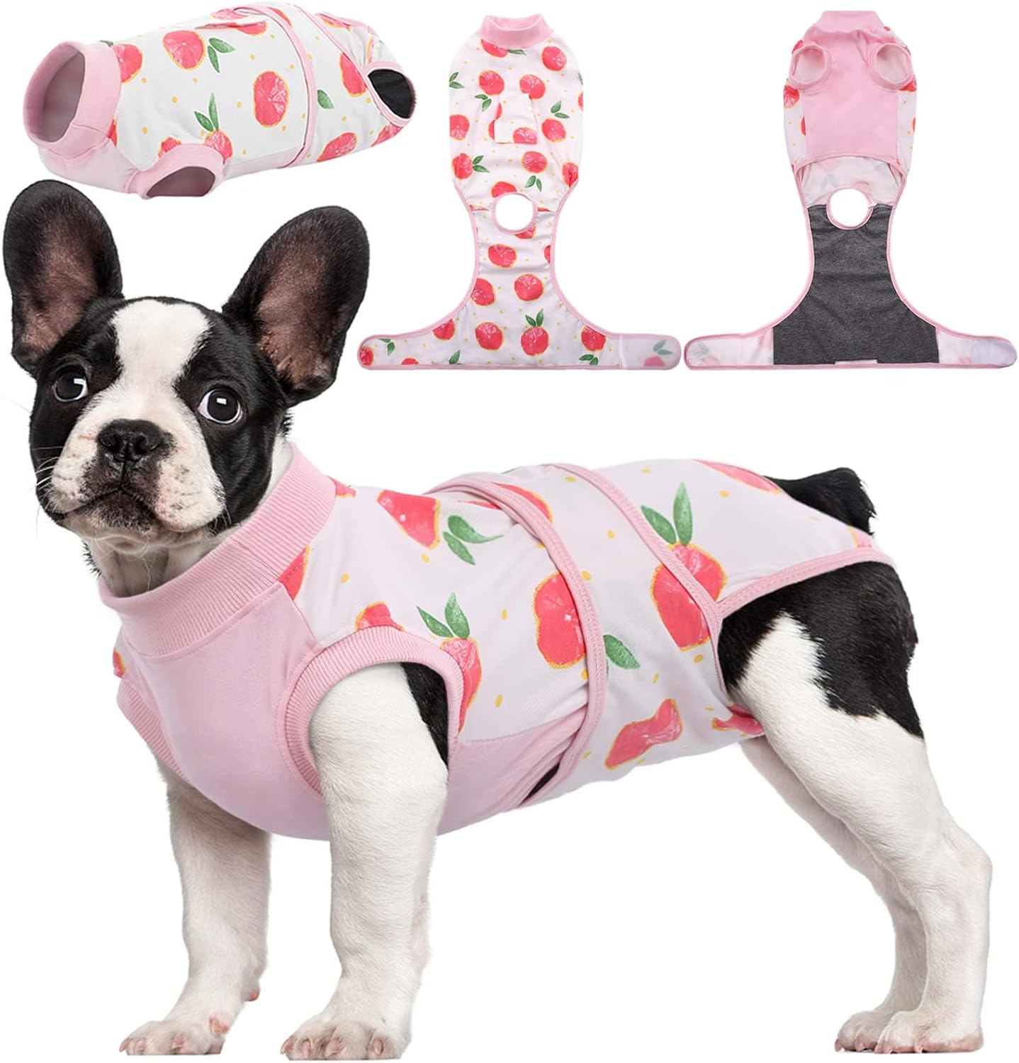 Soft dog recovery suit for post-surgery healing & wound protection. Comfortable alternative to a cone.