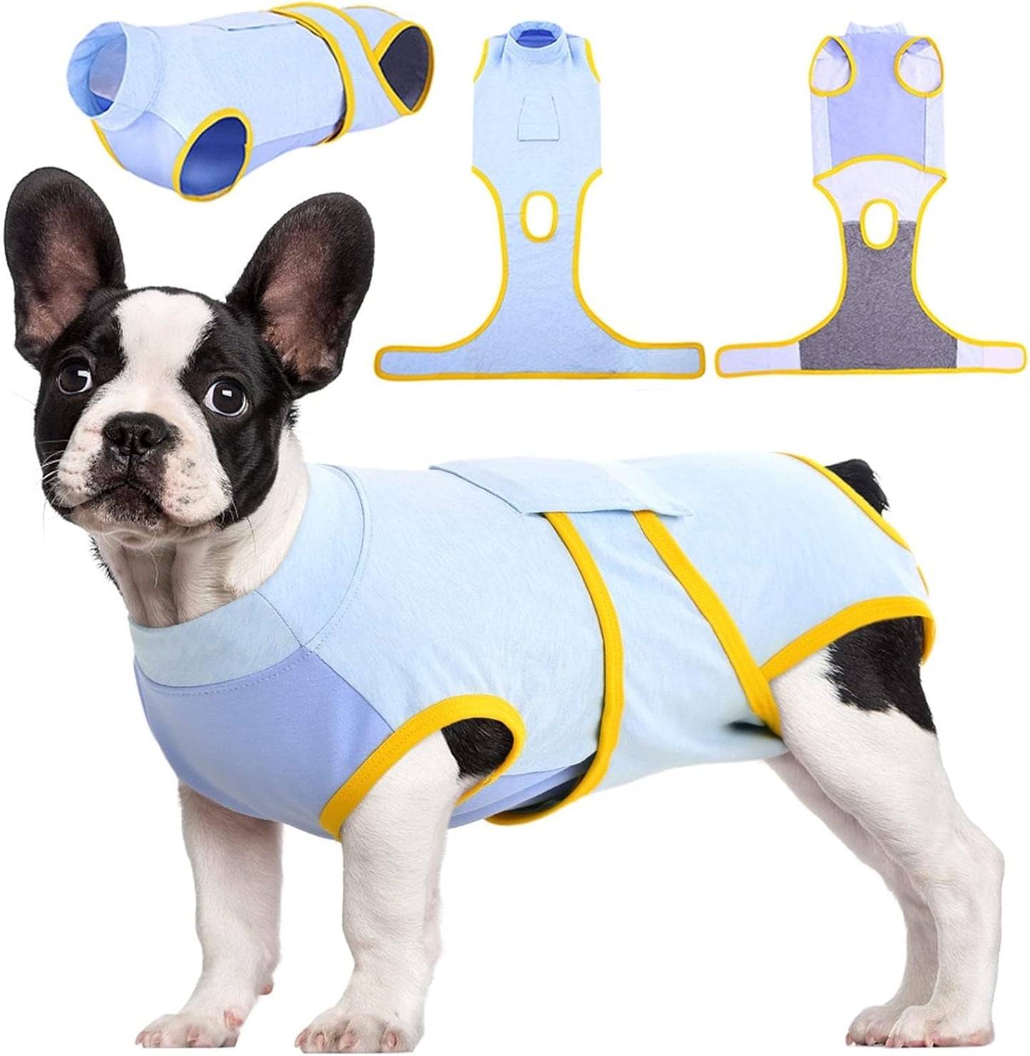 Pet recovery suit for cats, an alternative cone for safe wound healing post-surgery.