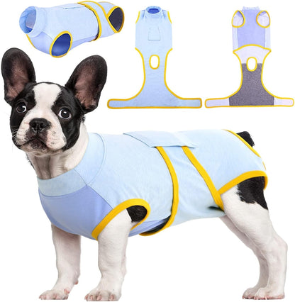 Pet recovery suit for cats, an alternative cone for safe wound healing post-surgery.