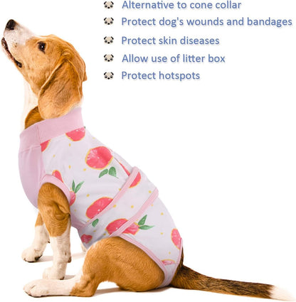 Gentle cat surgical vest, keeps wounds clean & safe. A comfortable pet recovery solution.