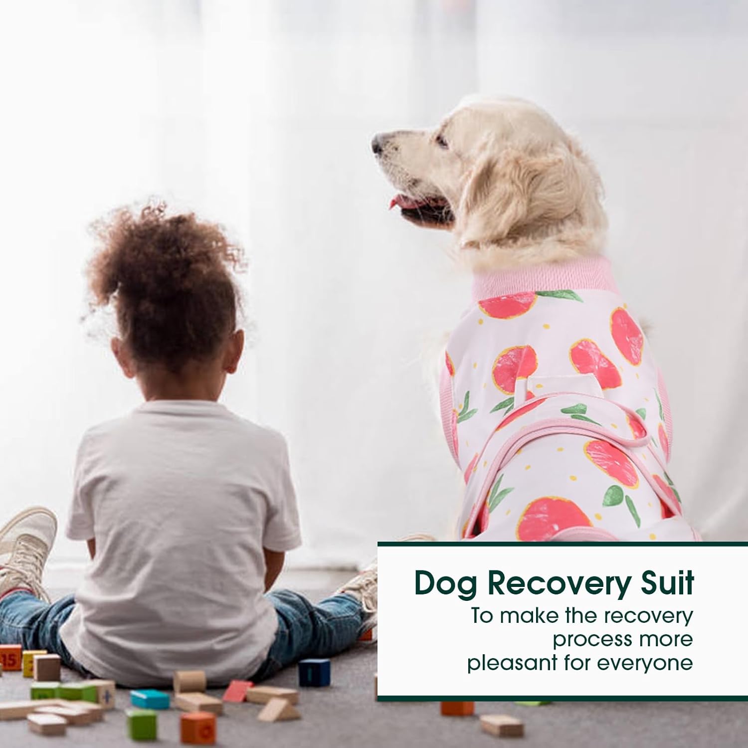 Effective pet healing aid: recovery suit for dogs, offering superior wound protection.